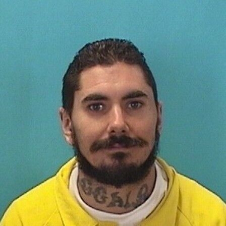 TRISTAN ROWAN PLEADS GUILTY TO 4½ YEARS IN THE
